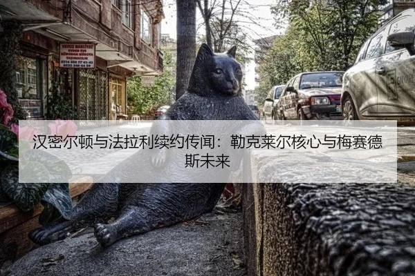 han-mi-er-dun-yu-fa-la-li-xu-yue-chuan-wen-lei-ke-lai-er-he-xin-yu-mei-sai-de-si-wei-lai-2-829.jpg