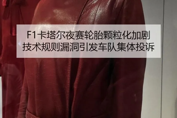 ka-ta-er-ye-sai-lun-tai-ke-li-hua-jia-ju-ji-shu-gui-ze-lou-dong-yin-fa-che-dui-ji-ti-tou-su-3-993.jpg